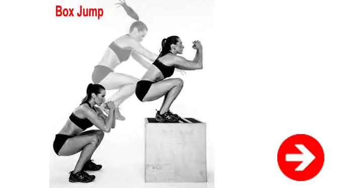 box jump workout burpees