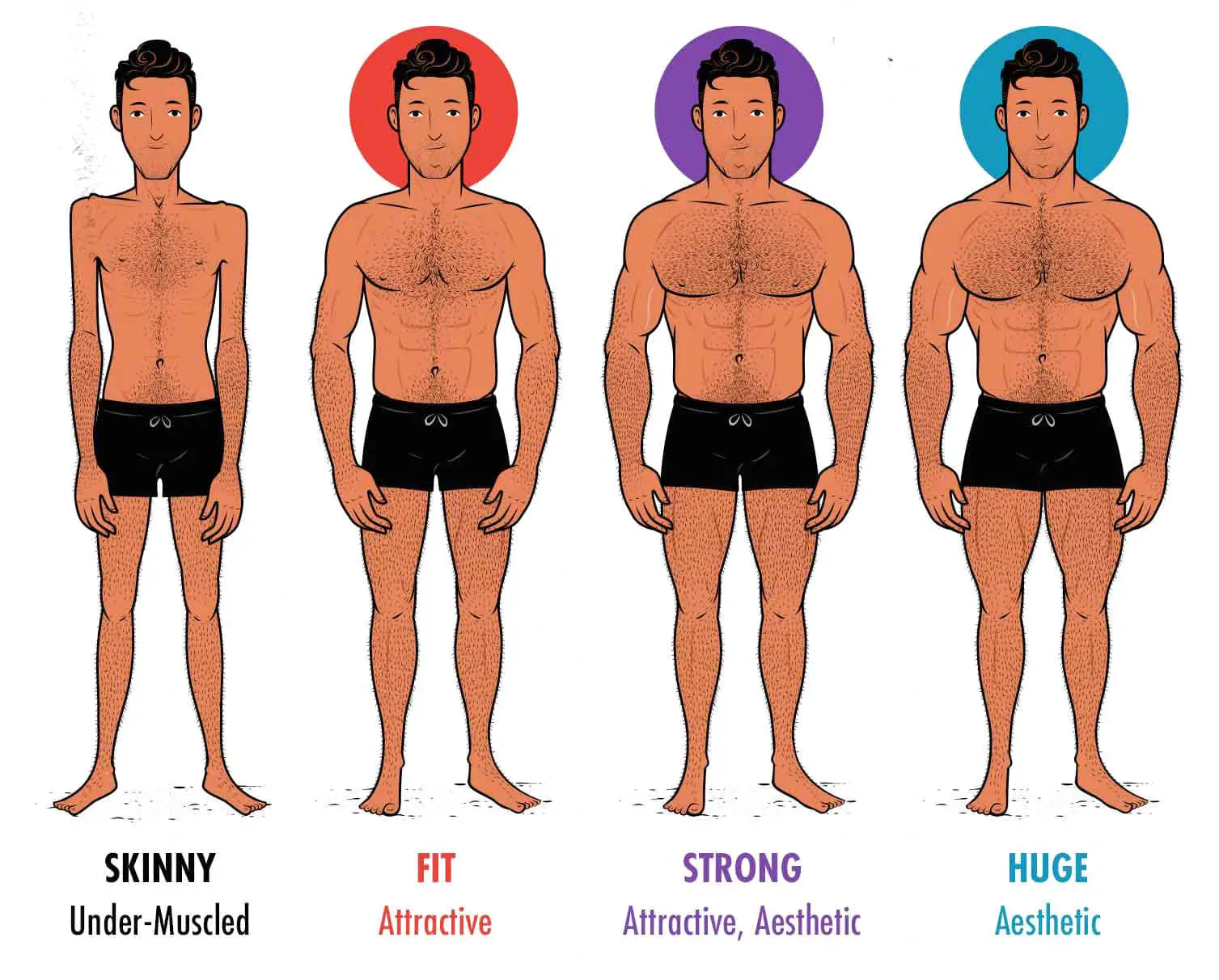 Different types of bodies for men